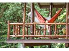 TRAVEL HAMMOCK KIT Hängematte / grün