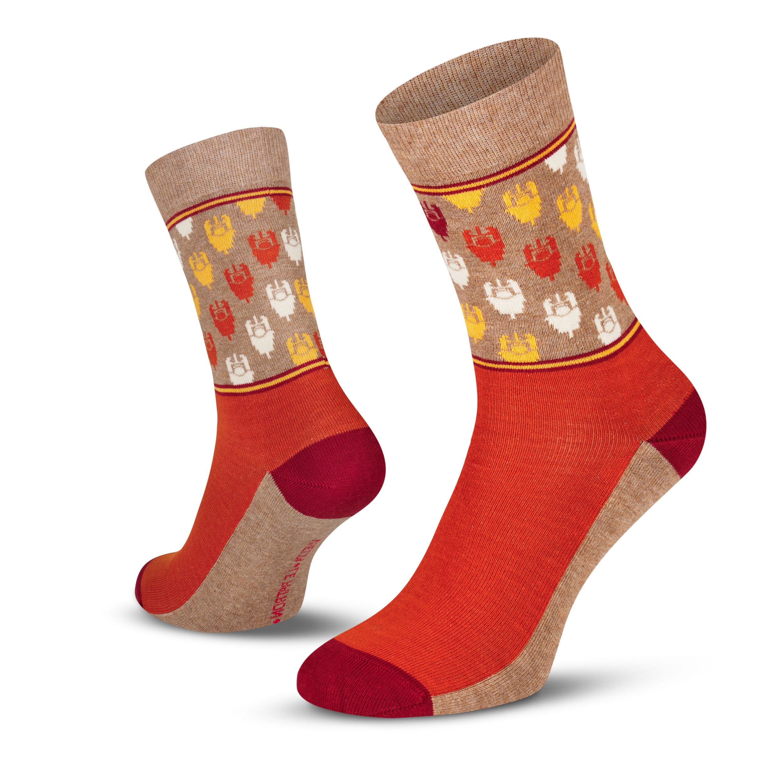 Grand Tours 2024 / orange / 39-42