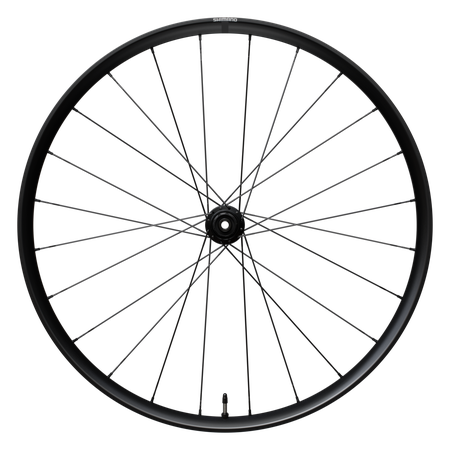 WH-RX180 Hinterrad 28", Achse 12mm / schwarz / HG L 2x12,  DB CL, 142mm