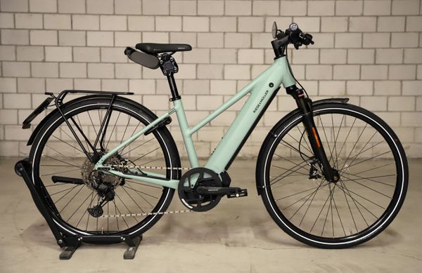 ROADSTER4 MIXTE TOURING HS E-Bike 45 km/h / salvia matt / 53 CM