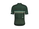 ZENGAM Herren-Kurzarmtrikot / mountain pine / XL