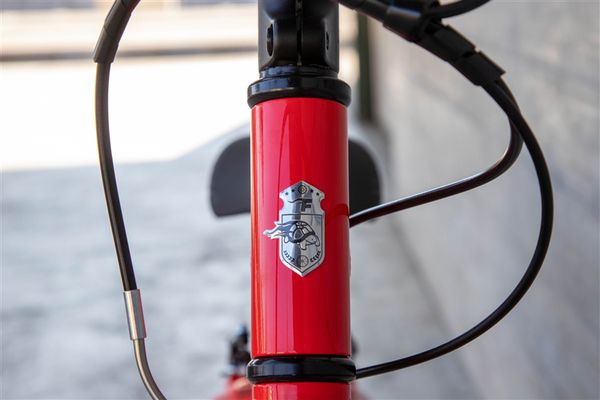 FLiZZi 20 RIEMEN Kindervelo / rot / 20 ZOLL
