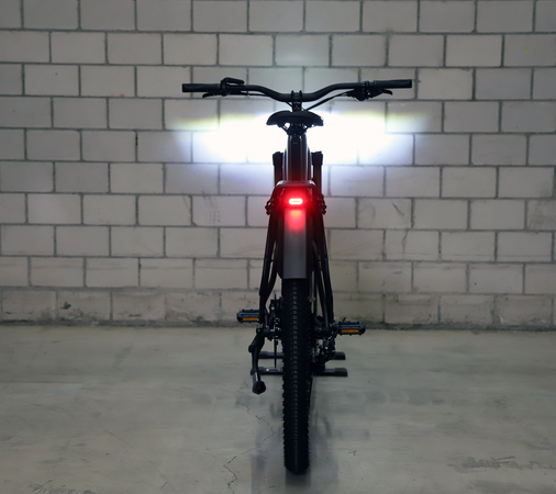POWERFLY+ 4 EQ 800 GEN 5 E-MTB / dark star dark web / M
