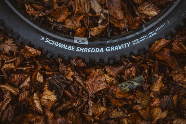 SHREDDA GRAVITY PRO EVO. TLR Reifen / 29" x 2.50, 64-622 REAR