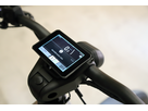 CHARGER5 PINION HS E-Bike 45km/h / Magnesium / 53 CM