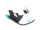 Disciple Cipher Visor / matte white/black/turquoise