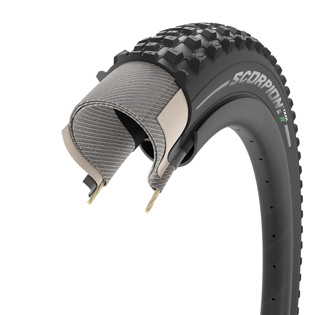 Scorpion Enduro R ProWall V2 / black / 29x2.60