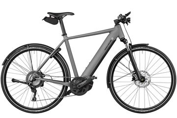 ROADSTER TOURING E-City und Alltagsvelo 25km/h / grey matt / 61 CM