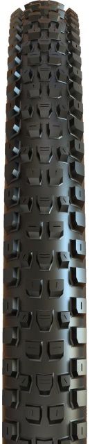 DISSECTOR II EXO+ MTB-Reifen / schwarz / 29" x2.40, 61-622