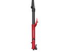 Federgabel Z1 Rail Coil Sweep-Adj 15QRx110 1.5 T / gloss red