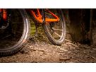 NOBBY NIC Evo Super Ground / Super Trail (26" / 27.5" / 29") MTB-Reifen / schwarz / 29" X 2.40"