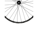 ERA 30 Carbon MTB CLN Center Lock Wheel / black / 29"/12x148-B XD