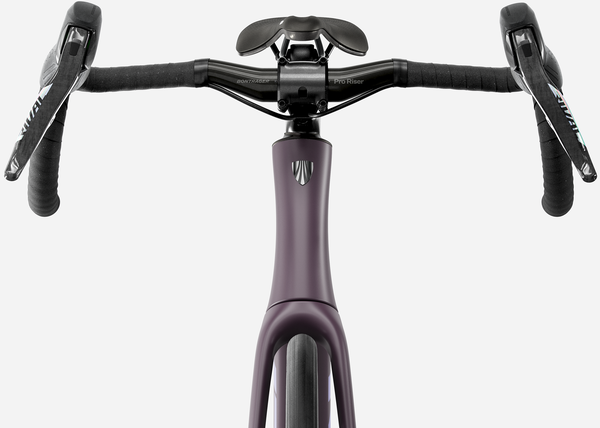 DOMANE SL 6 AXS Rennvelo / nightshade / M