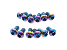 Rotor Bolt Kit T25 Titanium Qty 12 / rainbow