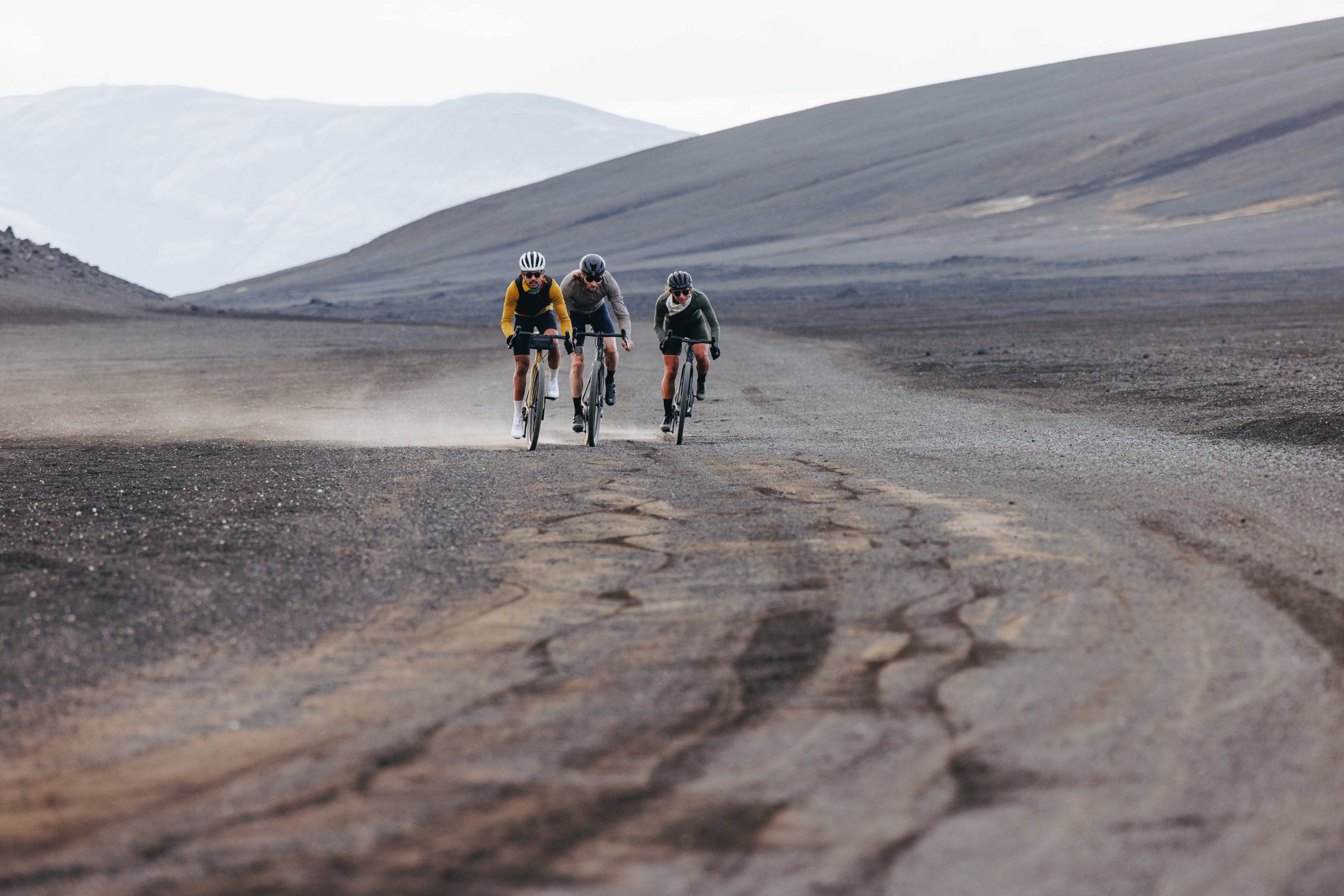 DIVERGE COMP CARBON Gravelbike / satin olive oak chrome wild / 56 CM