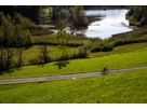 LAZY DAY GATES ALFINE 8 Men City- und Alltagsvelo / metall matt / 52 CM