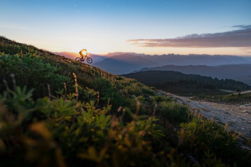 FUEL EX 8 XT MTB Fully / rot / S