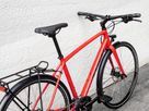 FX 2 DISC EQ City- und Alltagsvelo / satin viper red / S