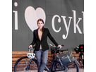 COMMUTER-BAG 2 URBAN Officetasche (Single) / pepper / 20 L