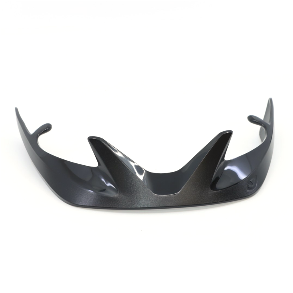 Register Visor / black/silver