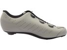 RR Fast 2 Aerolight / cement-ice white / 41