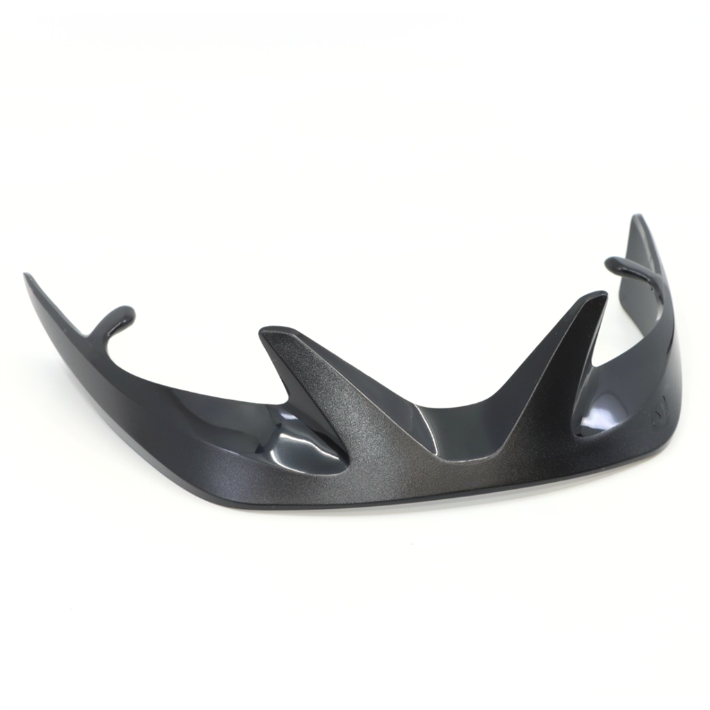 Register XL Bronte Visor / black/silver