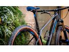 RACING RAY Evo Super Race Hinterrad- Reifen / bronze side / 29" x 2.25, 57-622, Falrtreifen, TLE