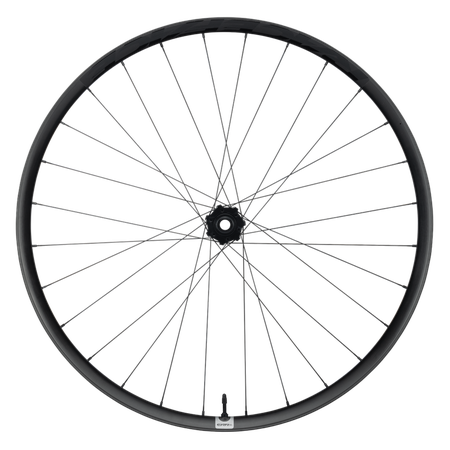 ERA SL 30 Carbon MTB CLN  6 Bolts Wheel / black / 29"/15x110