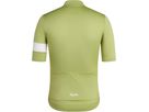 CORE Herren-Kurzarmtrikot / fern/white / S