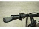 eCOMFORT DS NEO+ Crossover E-Bike / ash / 41 CM