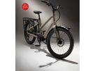 BOOST 10D CX Step Through E-Cargobikes 25km/h / wasabi green