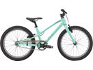 JETT 20 SINGLESPEED Kinder- und Jugendvelo / gloss oasis forest green / 20 ZOLL