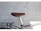 LAZY DAY GATES ALFINE 8 Men City- und Alltagsvelo / metall matt / 52 CM