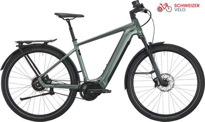 ENJOY GT 8 E-City- und Alltagsvelo / D. Green glanz pure / 52cm