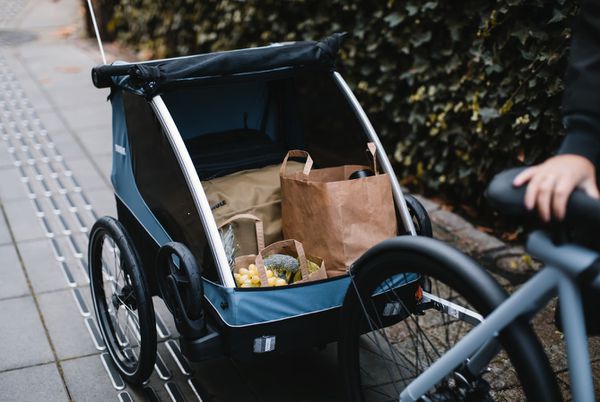 THULE COURIER 2 "3in1" Kinder-, Transport- und Hundeanhänger / blau