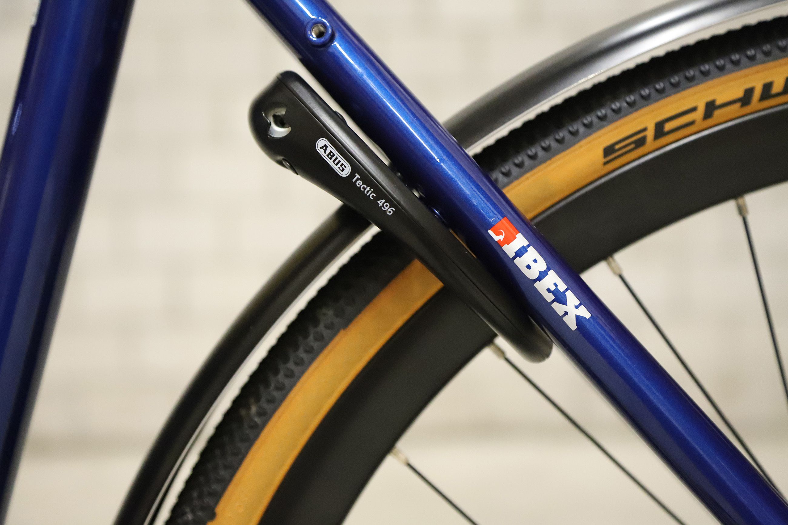 DAILY QUEST Pinion City- und Alltagsvelo / saphir blau glanz / 53 CM