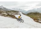 RAIL 9.5 GEN 4 E-MTB Fully / black olive / XL