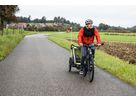 VELOPLUS-FISCH Anhängerfahne für Veloanhänger / schwarz