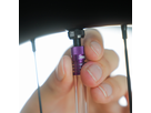 Hector the Injector