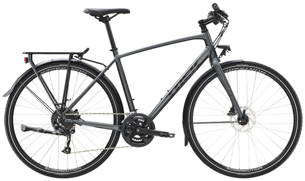 FX 2 DISC EQ City- und Alltagsvelo / satin lithium grey / S