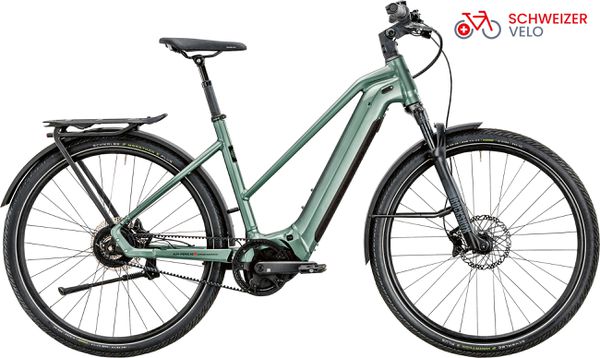 ENJOY GT 8 GOR E-City- und Alltagsvelo / D. Green gla. p. / 50cm