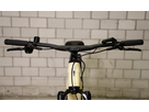 E-Bike EFAT FRANK GT 45 km/h / creme glanz / S