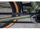 DAILY QUEST Pinion City- und Alltagsvelo / grün / 58 CM