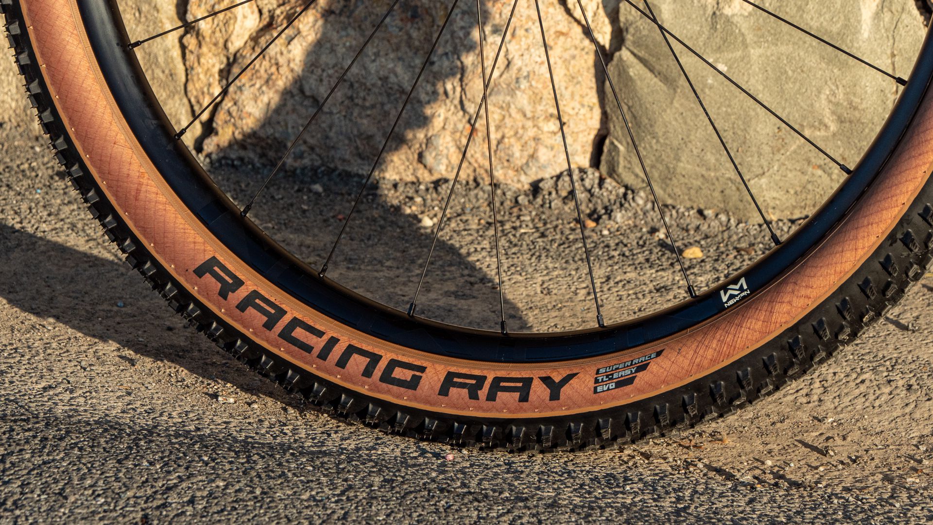 RACING RAY Evo Super Race Hinterrad- Reifen / bronze side / 29" x 2.25, 57-622, Falrtreifen, TLE