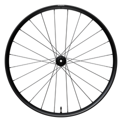WH-RX180 Hinterrad 28" Achse 12mm / schwarz / MS 1x12,  DB CL, 142mm