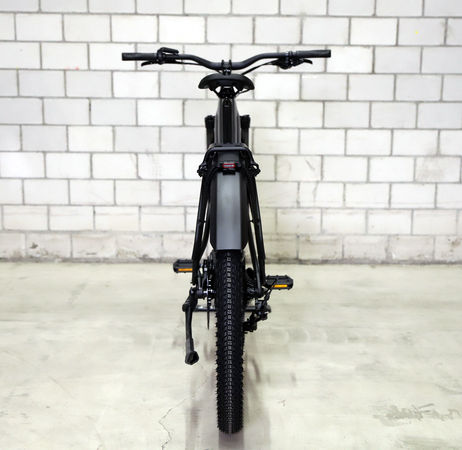 POWERFLY+ 4 EQ 800 GEN 5 E-MTB / dark star dark web / M
