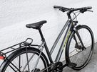 FX 2 DISC EQ STAGGER City- und Alltagsvelo / satin lithium grey / M