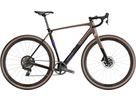 CHECKPOINT SL 7 AXS GEN 3 Gravelbike / bronze age smoke / L