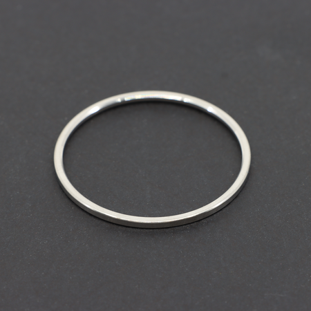 Spoke Retain Ring Echo Front