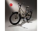 BOOST 10D CX Step Through E-Cargobikes 25km/h / wasabi green